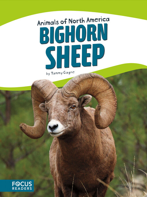 Title details for Bighorn Sheep by Tammy Gagne - Available